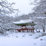 musim dingin di korea selatan