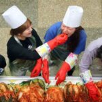 Wanita beramai-ramai membuat Kimchi pada perayaan Gimjang
