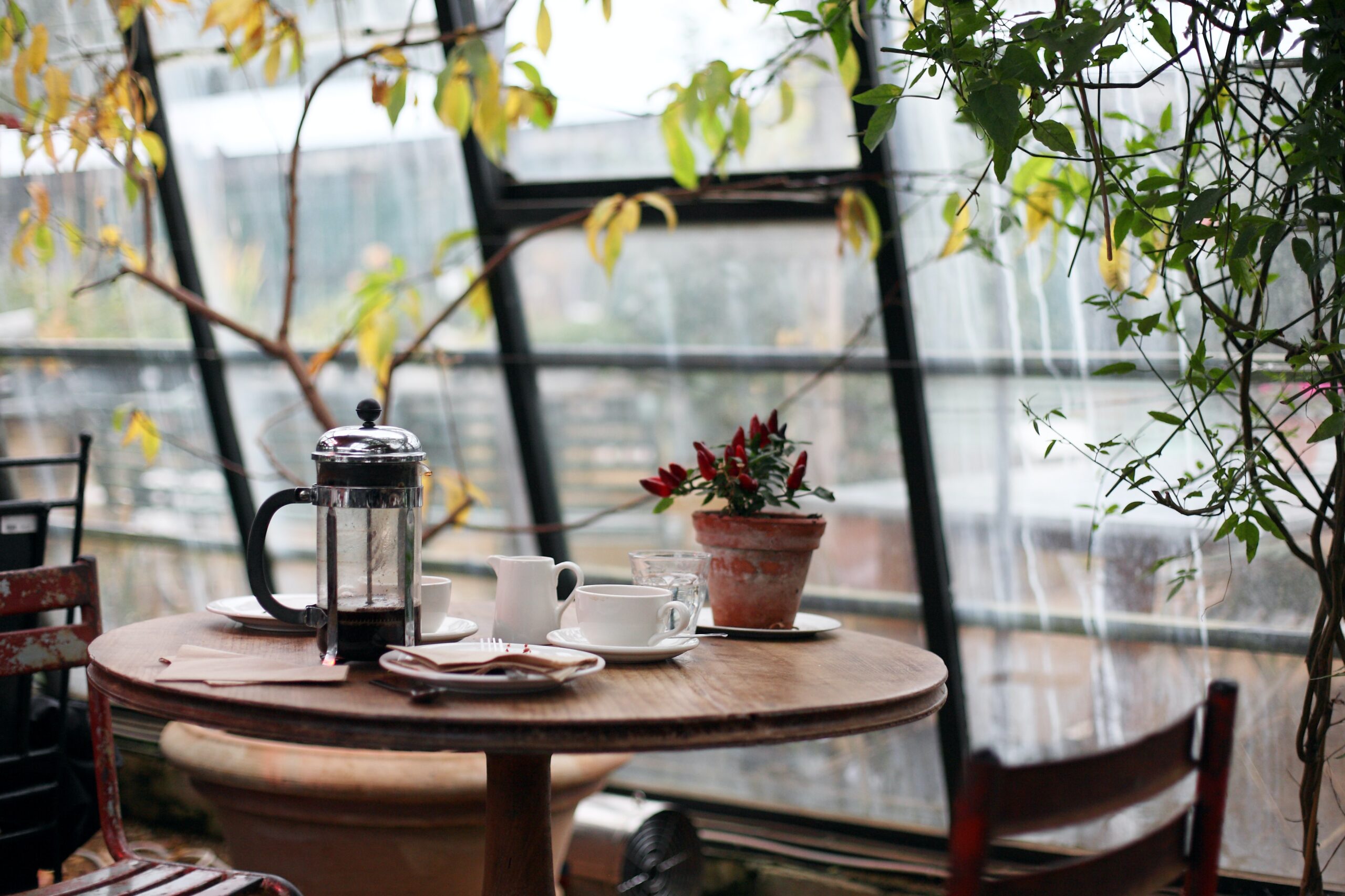 cafe unik di korea selatan
