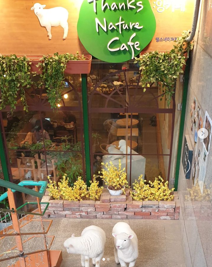 cafe aesthetic di korea selatan