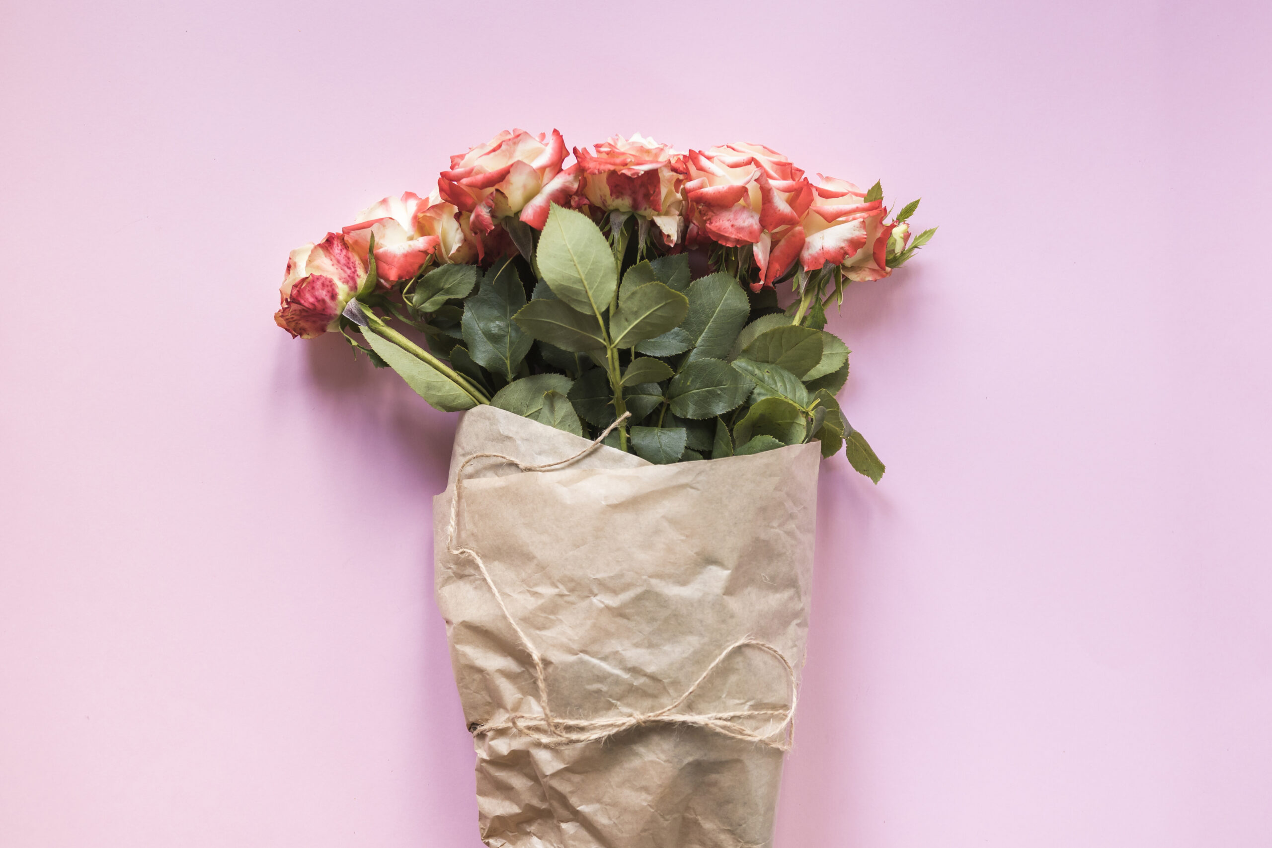 Rose Day - Hari Valentine Korea