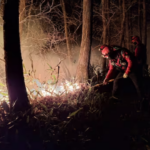 Kebakaran Hutan Gangwon Yangyang Korea Selatan
