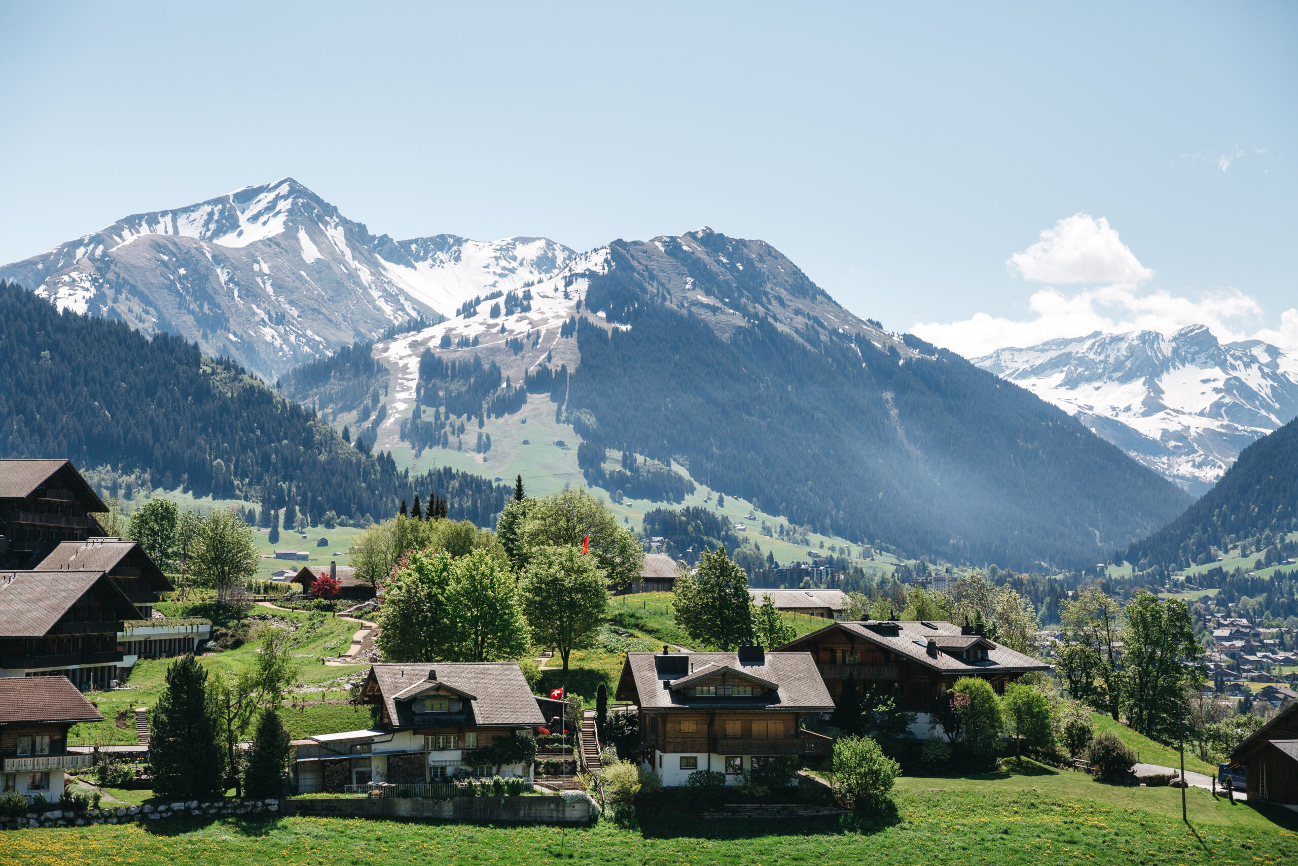 Kuliah di Austria? Ini Beasiswa untuk Cationers